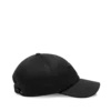Kasjmier pet