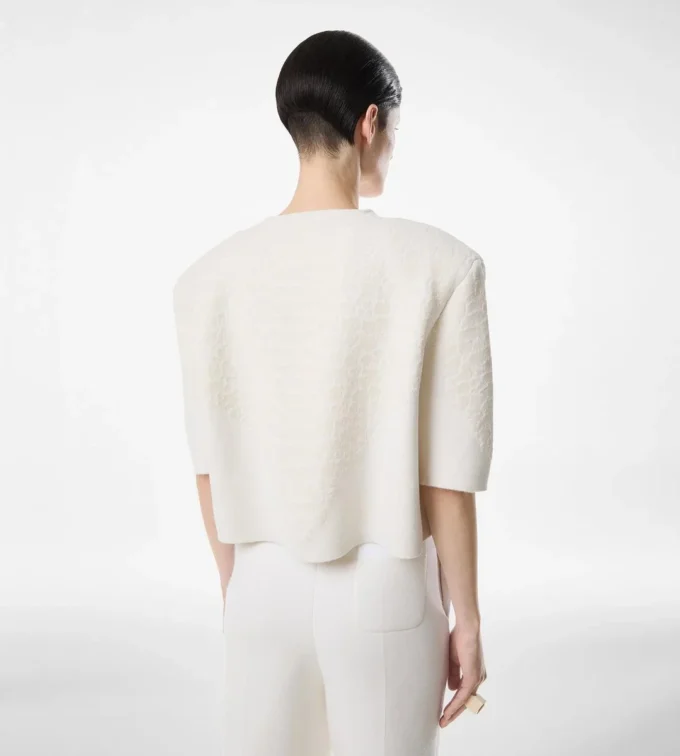 Merino kasjmier T-shirt met ronde hals en zijden chenille reliëf met pythonmotief Merino kasjmier T-shirt met ronde hals en zijden chenille reliëf met pythonmotief